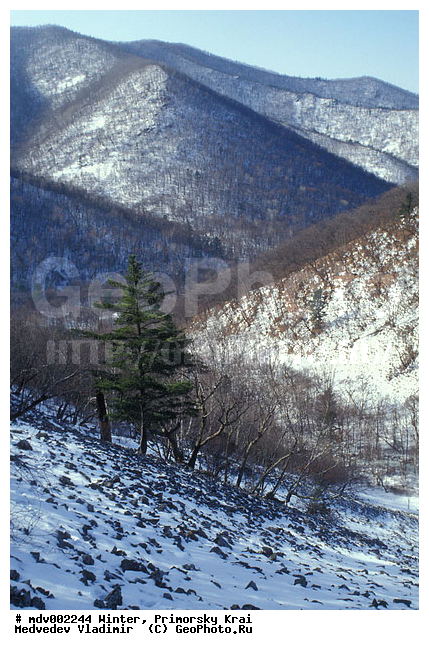 ��������, ������� ����, ����, �����, ������