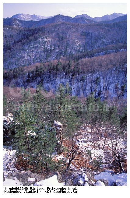 ��������, ������� ����, ����, �����, ������