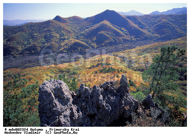 ��������, ������� ����, �����, �����, ������