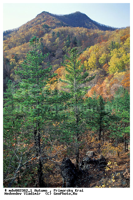 ��������, ������� ����, �����, �����, ������