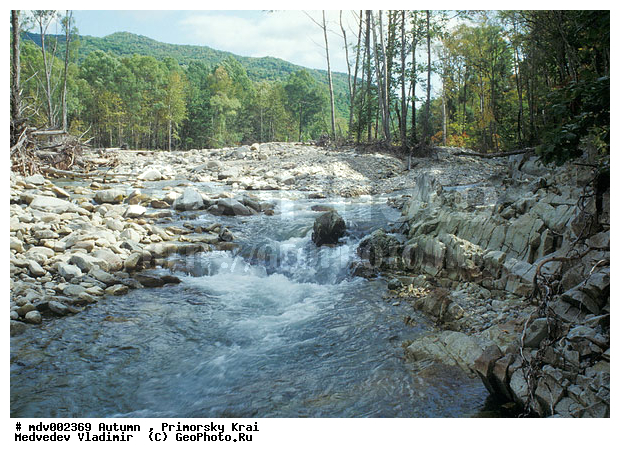 ��������, ������� ����, �����, �����, ������