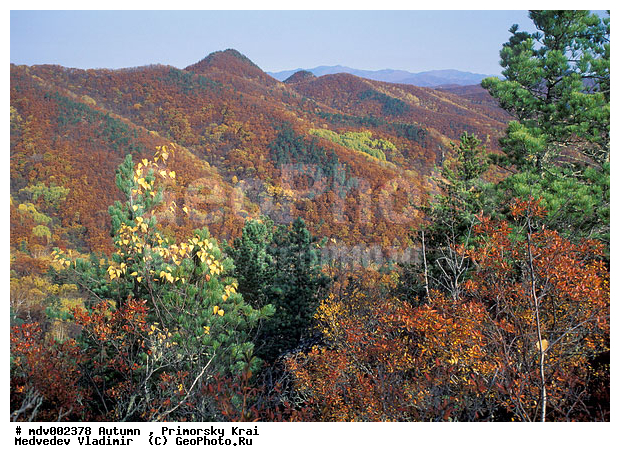 ��������, ������� ����, �����, �����, ������