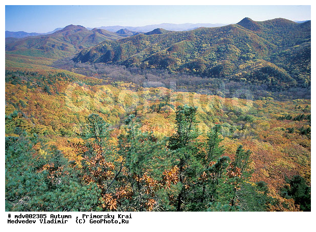 ��������, ������� ����, �����, �����, ������