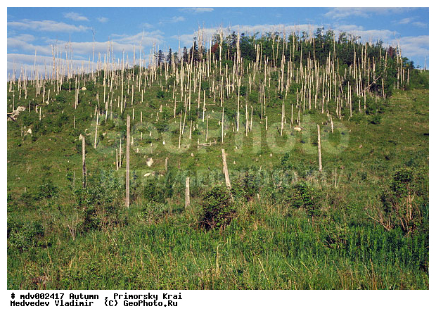 ��������, ������� ����, �����, �����, ������