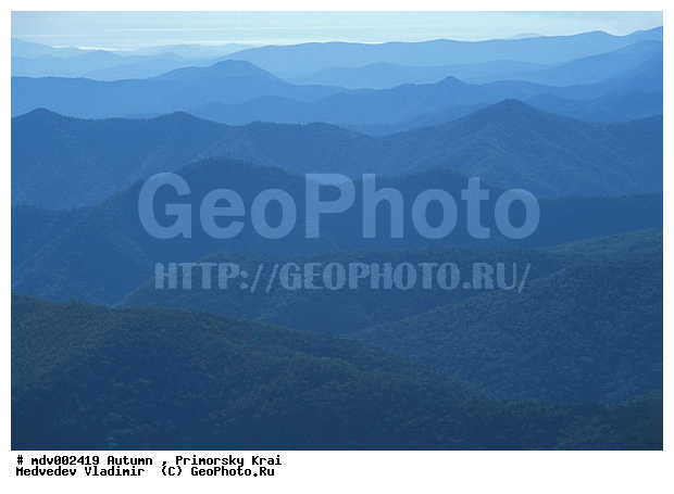 ��������, ������� ����, �����, �����, ������