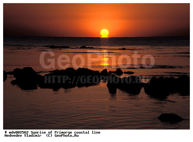 ��������, �����, ������