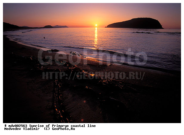 ��������, �����, ������