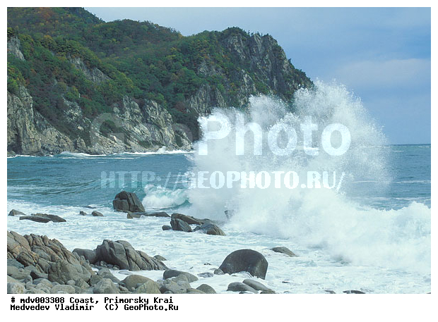 ��������� ��������������� ����������, ���������, ��������, �������� ����, ������ �������