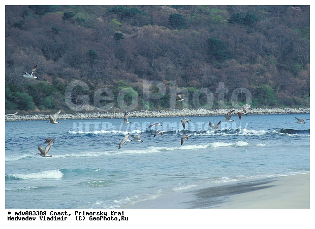 ���������, ��������, �������� ����