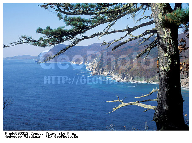 ���������, ��������, �������� ����