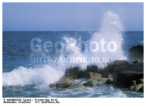 ���������, ��������, �������� ����