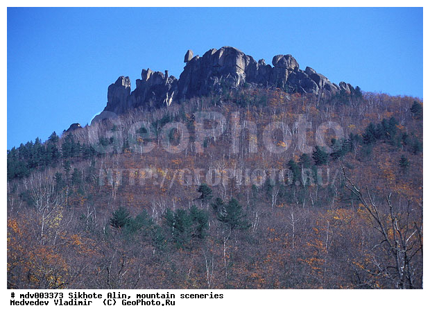 ������� ������, ��������, ������-�����, �����������, ������, ��������, ������������ ���� "��� �����", �������, ������, �����������, �����