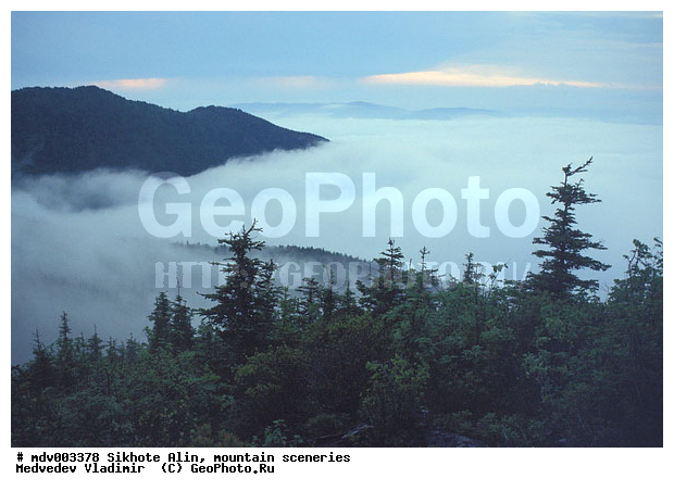 ������� ������, ��������, ������-�����, �����������, ������, ��������, �������, ������, �����������, �����