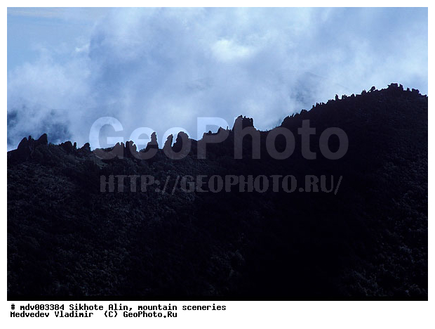 ������� ������, ��������, ������-�����, �����������, ������, ��������, ������������ ���� "��� �����", �������, ������, �����������, �����