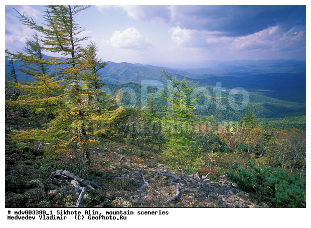 ������� ������, ��������, ������-�����, �����������, ������, ��������, ������������ ���� "��� �����", �������, ������, �����������, �����