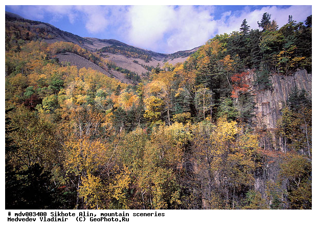 ������� ������, ��������, ������-�����, �����������, ������, ��������, �������, ������, �����������, �����