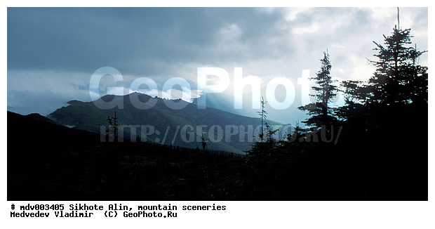 ������� ������, ��������, ������-�����, �����������, ������, ��������, ������������ ���� "��� �����", �������, ������, �����������, �����