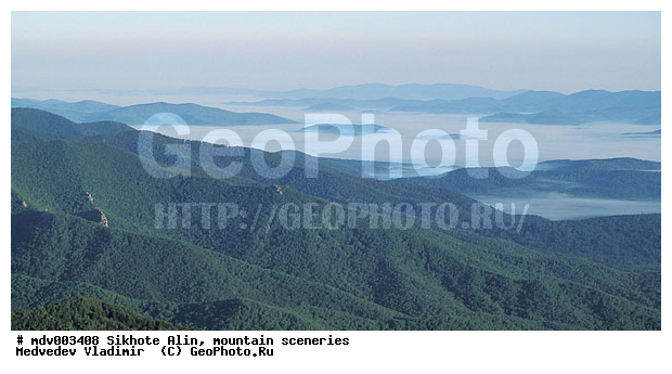 ������� ������, ��������, ������-�����, �����������, ������, ��������, ������������ ���� "��� �����", �������, ������, �����������, �����