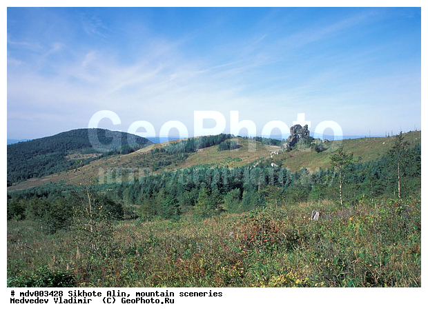 ������� ������, ��������, ������-�����, �����������, ������, ��������, �������, ������, �����������, �����