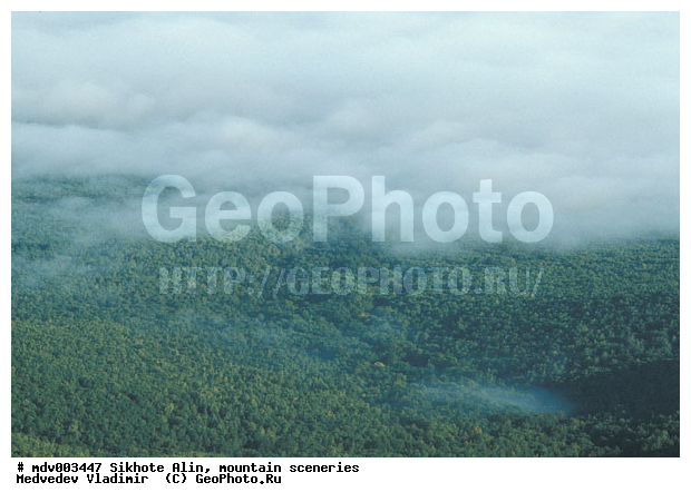 ������� ������, ��������, ������-�����, �����������, ������, ��������, ������������ ���� "��� �����", �������, ������, �����������, �����