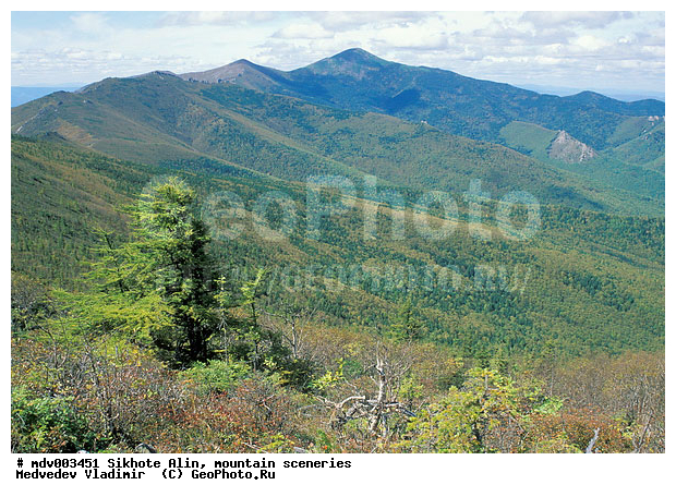 ������� ������, ��������, ������-�����, �����������, ������, ��������, �������, ������, �����������, �����