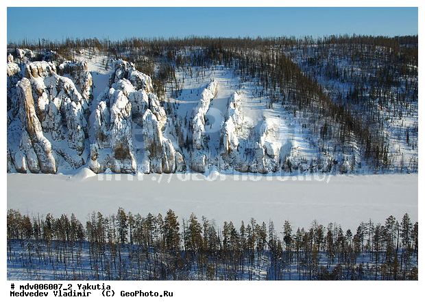 ������������ ���� "�����", �������� ������, �����, ������, ����, ��� ������, ���, ������, �. ����� (�����), ����, ���� �����, �����, ����, ��������