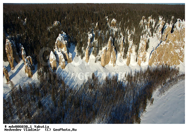 ������������ ���� "�����", ����, �������� ������, �����, ������, ����, ��� ������, ���, ������������ ���� "�����", ������, ����, ���� �����, �����, ����, ��������