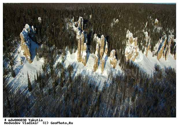 ������������ ���� "�����", �������� ������, �����, ������, ����, ��� ������, ���, ������, �. ����� (�����), ����, ���� �����, �����, ����, ��������