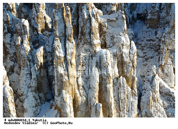 ������������ ���� "�����", �������� ������, �����, ������, ����, ��� ������, �������� ���������, ��������, ������, ���, ������, �. ����� (�����), ����, ���� �����, �����, ����, ��������