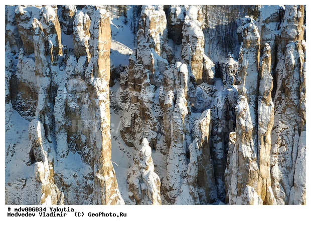 ������������ ���� "�����", �������� ������, �����, ������, ����, ��� ������, ���, ������, �. ����� (�����), ����, ���� �����, �����, ����, ��������