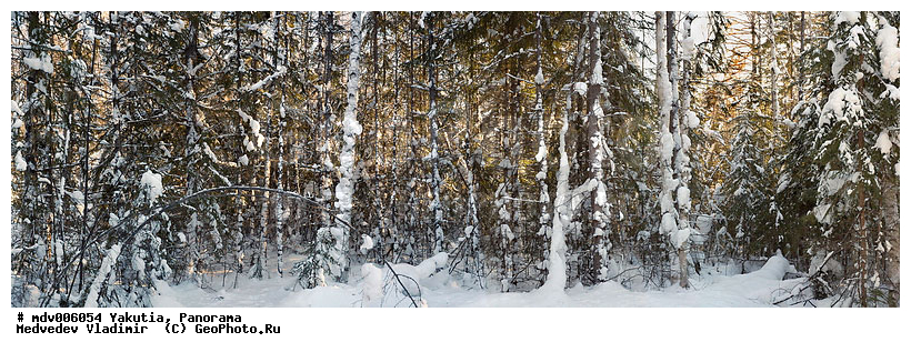 ����, ������, ������, ����, ���, ������������ ���� "�����", ��������, ����