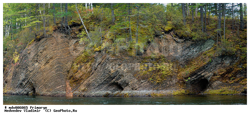 ��������, ����������� �����, ���� ����