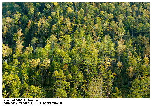 ��������, ����������� �����