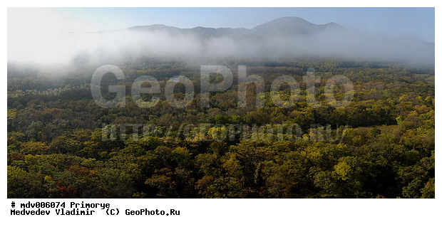 ��������, �. ����������