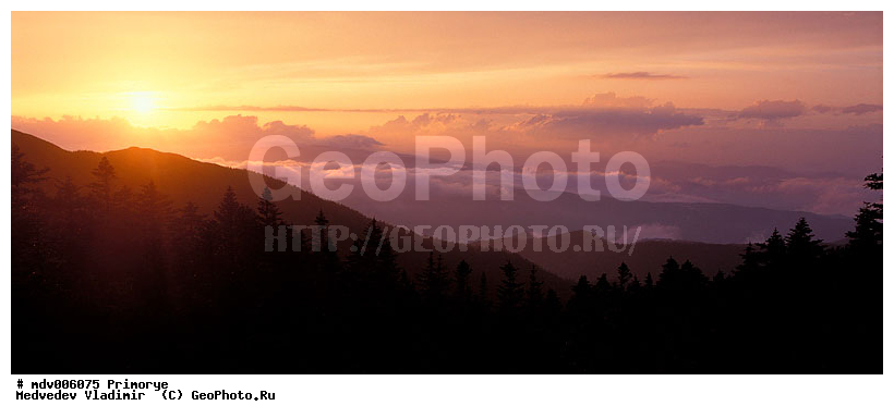 ��������, ������-�����, ����������� �����