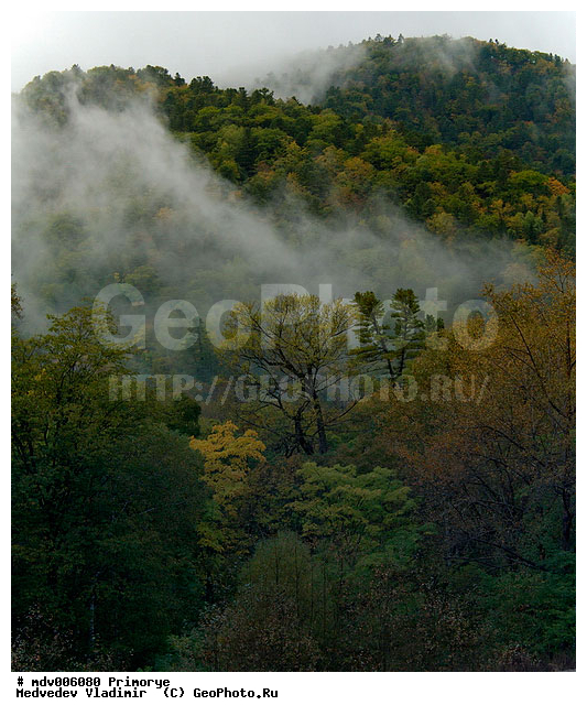 ��������, ����������� �����