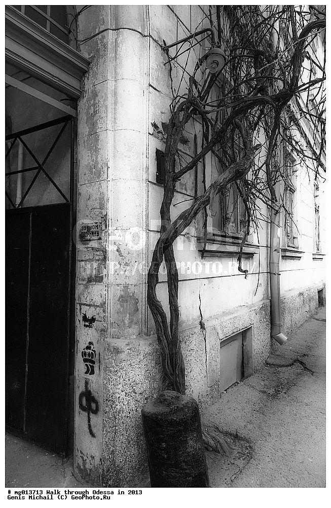 2013, ������, �������, �����������, ��������