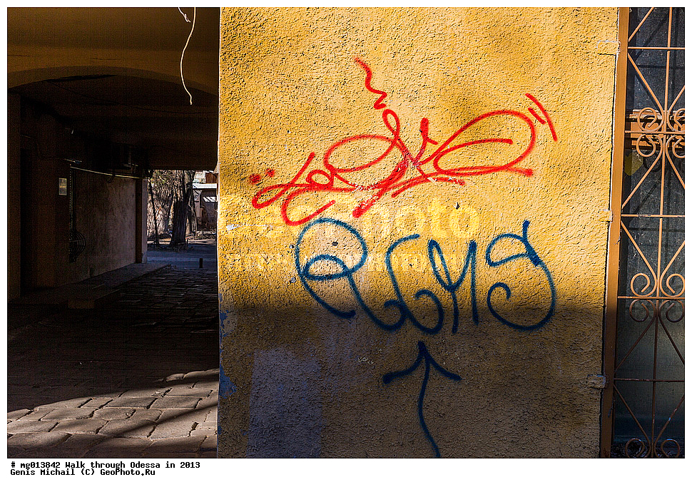 ��������, ������, �������, 2013, �����������