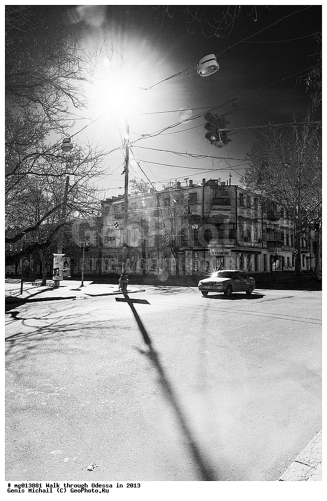 ��������, ������, �������, 2013, �����������