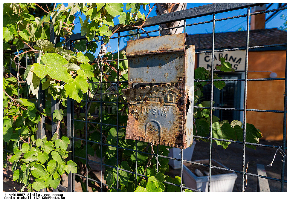 �������, ��������, ������