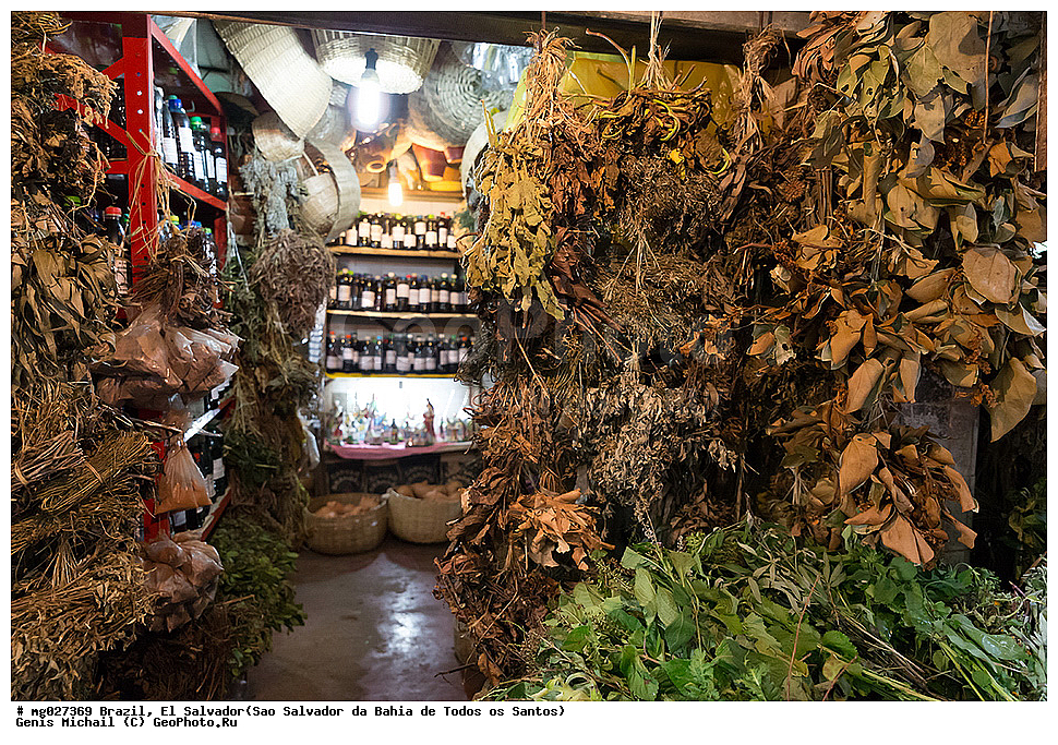 ��������, ���������, ���-��������-��-����-��-�����-��-������, ����� �������