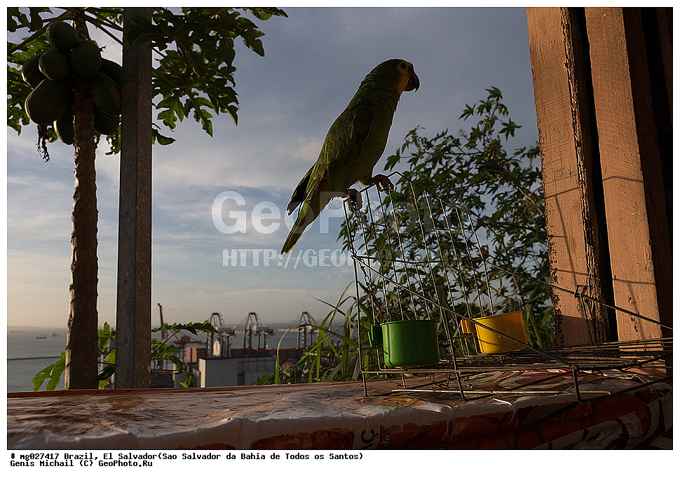 ��������, ���������, ���-��������-��-����-��-�����-��-������, ����� �������