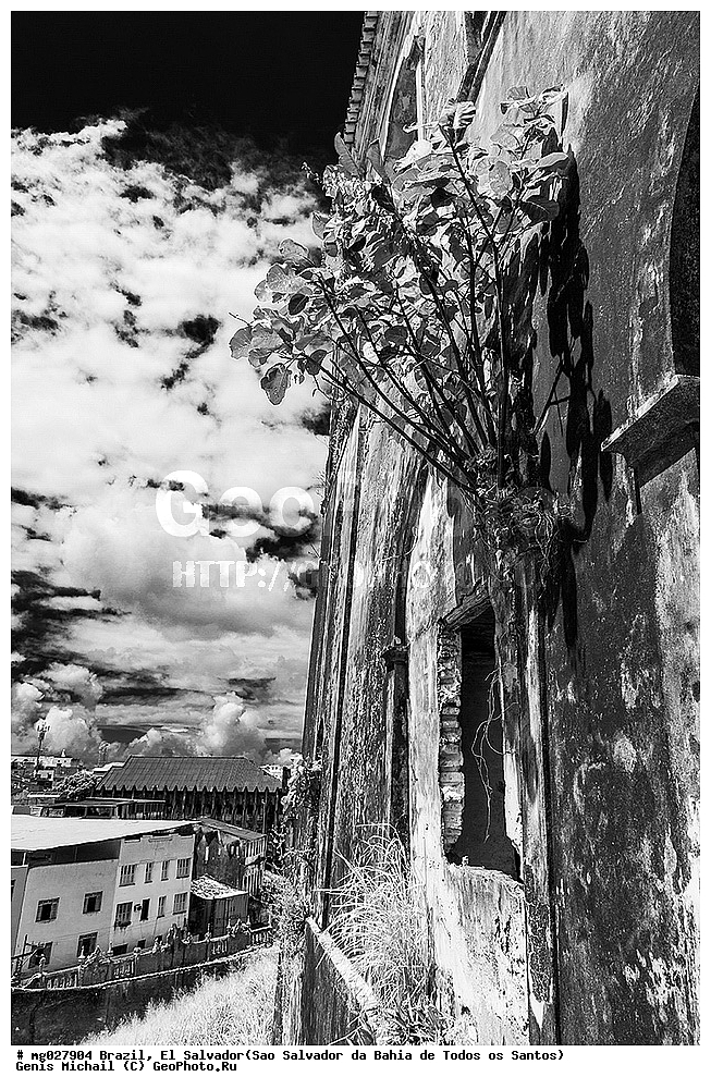 ��������, ���������, ���-��������-��-����-��-�����-��-������, ����� �������