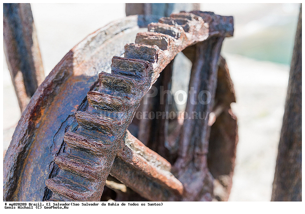 ��������, ���������, ���-��������-��-����-��-�����-��-������, ����� �������