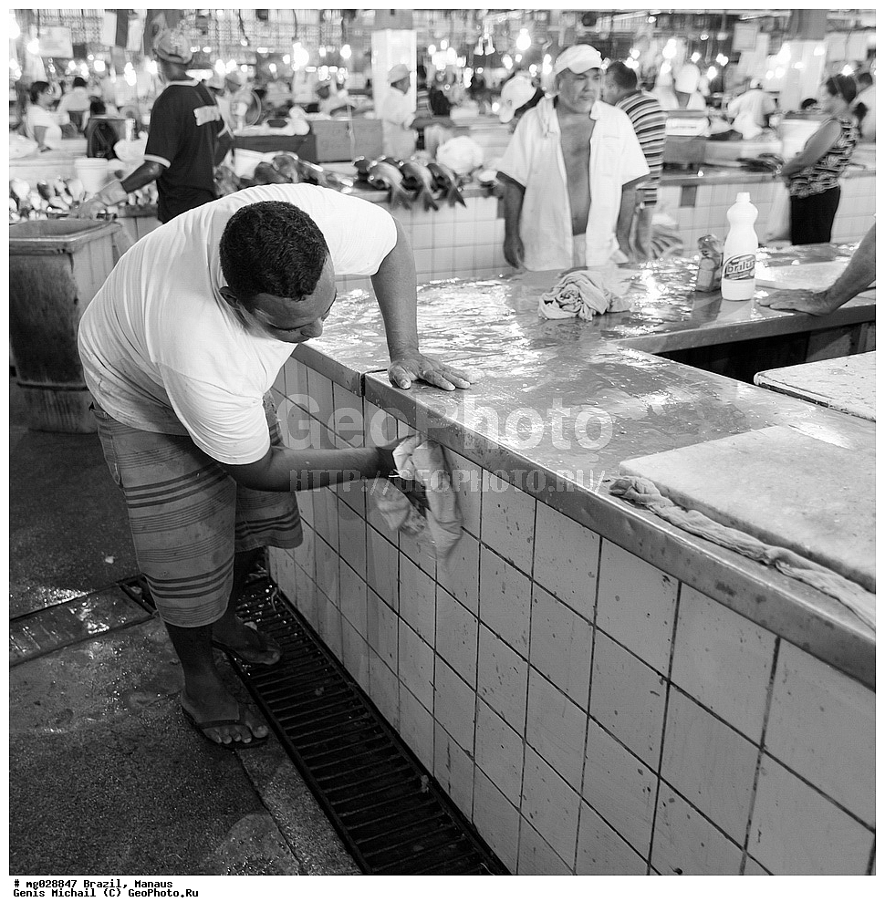  ��������, ������, ������ ����� 