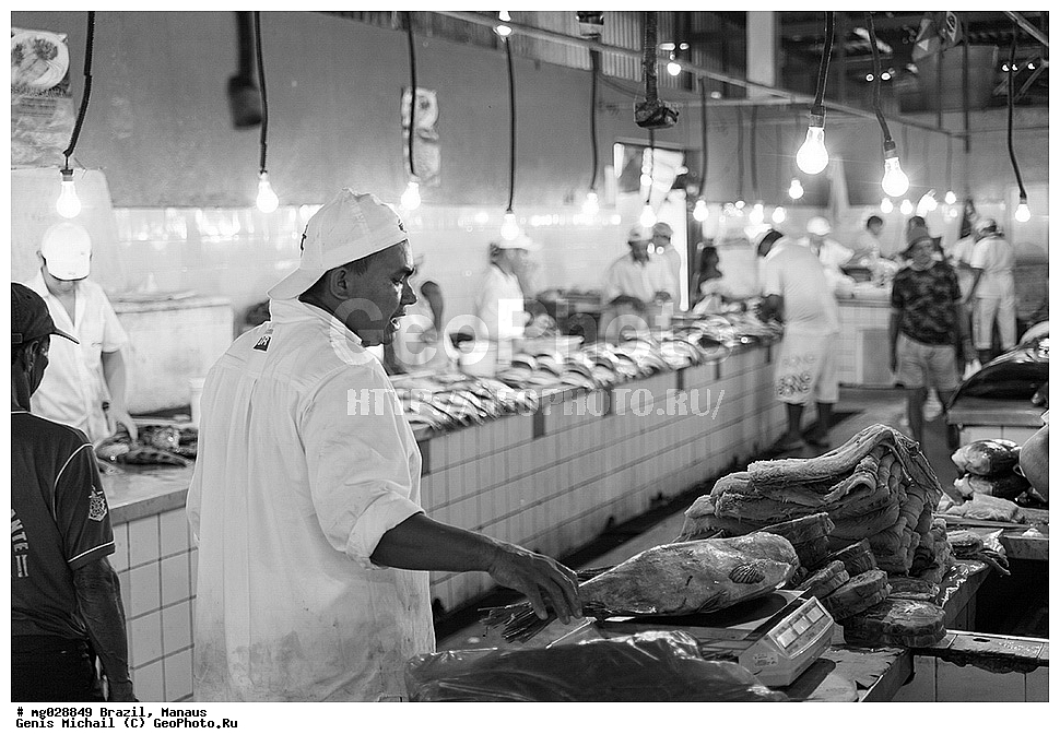  ��������, ������, ������ ����� 