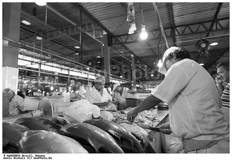  ��������, ������, ������ ����� 