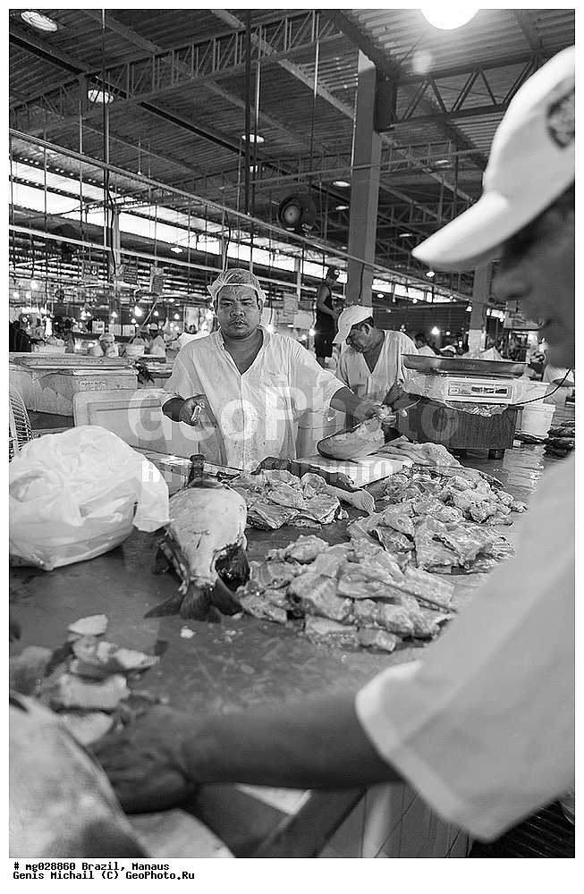  ��������, ������, ������ ����� 