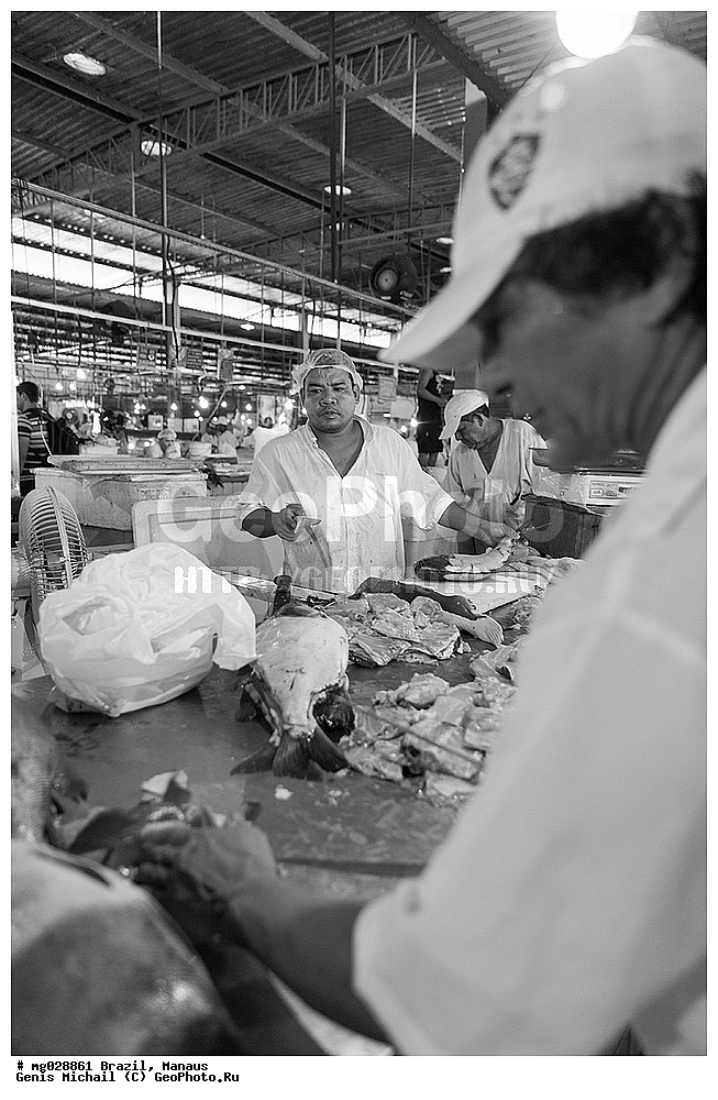  ��������, ������, ������ ����� 