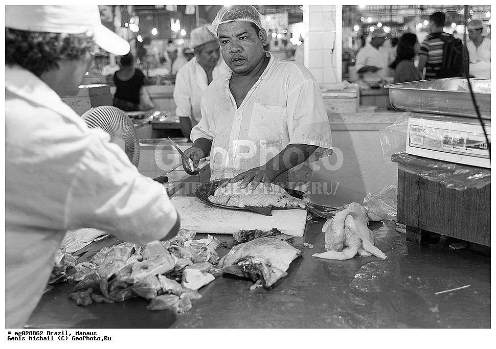  ��������, ������, ������ ����� 